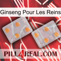 Ginseng For Kidney 25